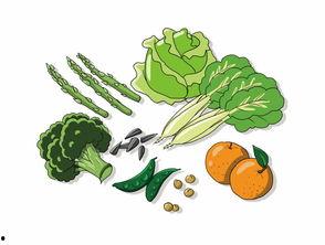 看花和吃瓜视频动画,动画中的视觉盛宴