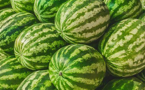 每日大赛吃瓜合集视频,精彩瞬间一网打尽