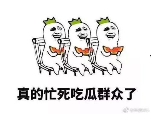 吃瓜群众很忙视频,揭秘网络热点的幕后故事