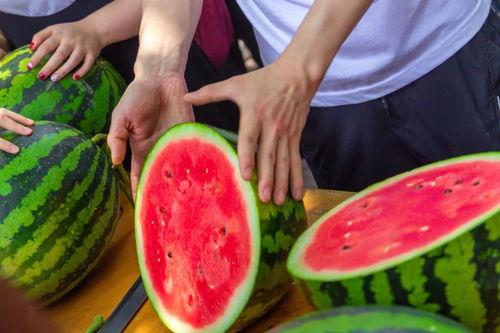 民航大学吃瓜视频,揭秘校园生活趣味瞬间